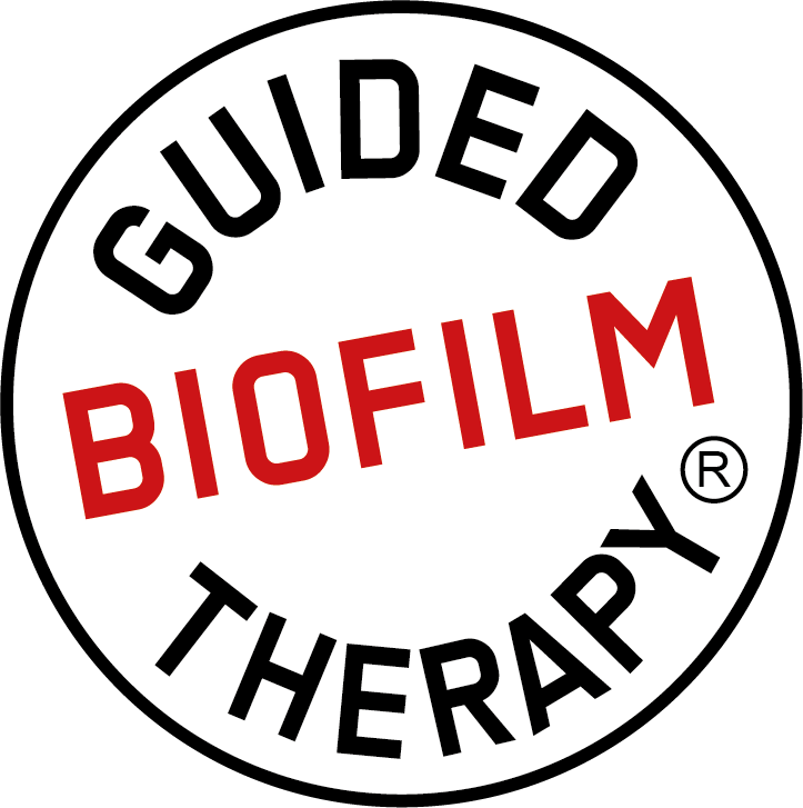 guided biofilm therapy airflow ems