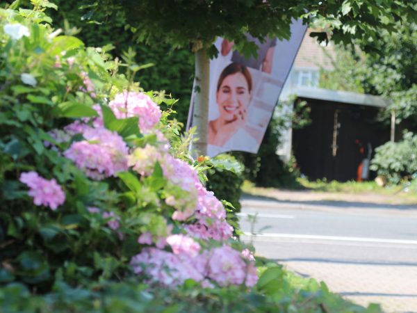 dental practice new forest