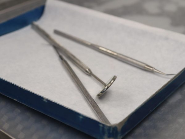 12 point check new forest