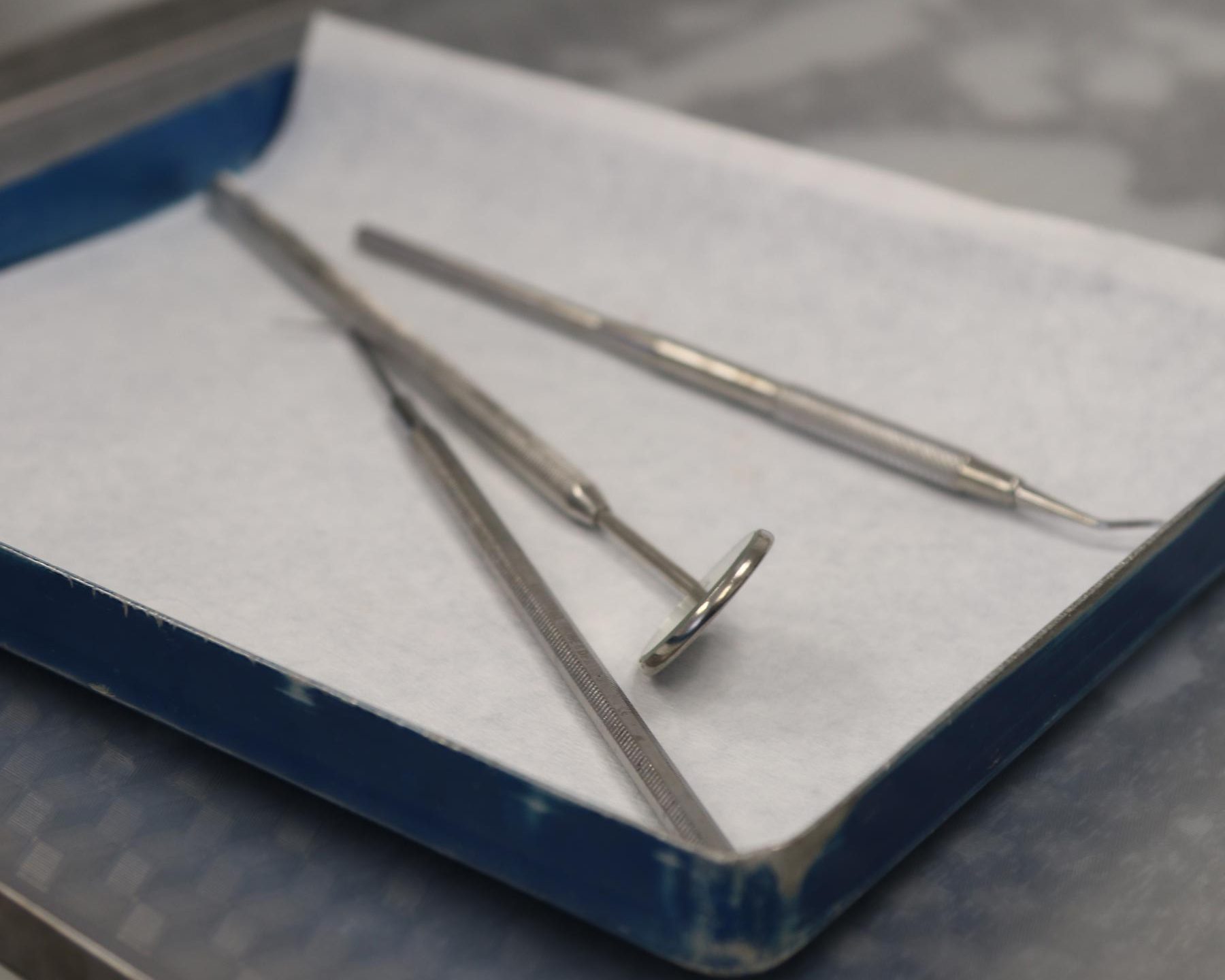 12 point check new forest